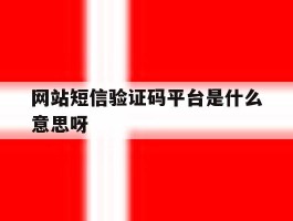 网站短信验证码平台是什么意思呀