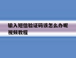 输入短信验证码该怎么办呢视频教程