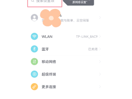 显示自己电话号码的网络电话怎么设置不了拦截