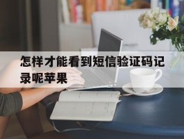 怎样才能看到短信验证码记录呢苹果