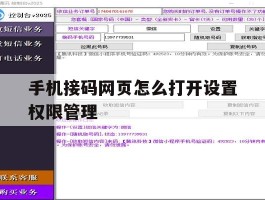 手机接码网页怎么打开设置权限管理