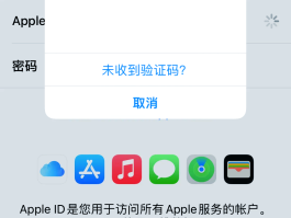 怎样看短信验证码是否正确呢苹果版