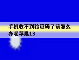 手机收不到验证码了该怎么办呢苹果13