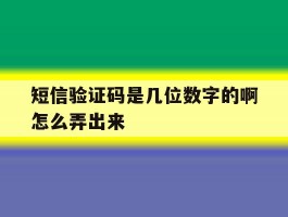 短信验证码是几位数字的啊怎么弄出来