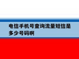 电信手机号查询流量短信是多少号码啊