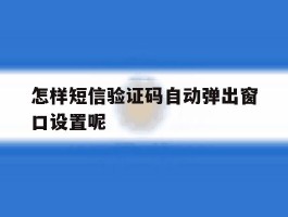 怎样短信验证码自动弹出窗口设置呢