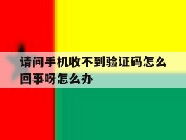 请问手机收不到验证码怎么回事呀怎么办