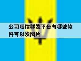 公司短信群发平台有哪些软件可以发图片