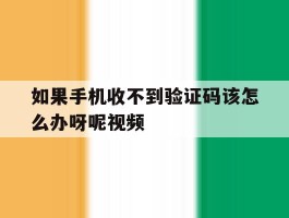 如果手机收不到验证码该怎么办呀呢视频