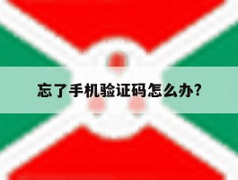 忘了手机验证码怎么办?