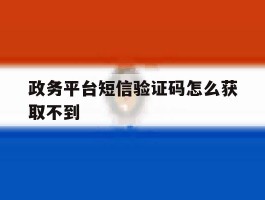 政务平台短信验证码怎么获取不到