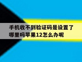 手机收不到验证码是设置了哪里吗苹果12怎么办呢