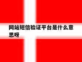 网站短信验证平台是什么意思呀