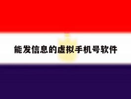 能发信息的虚拟手机号软件