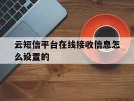 云短信平台在线接收信息怎么设置的