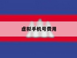虚拟手机号费用