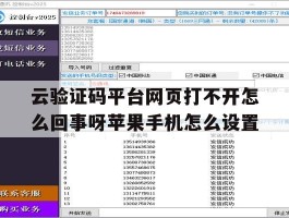 云验证码平台网页打不开怎么回事呀苹果手机怎么设置