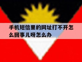 手机短信里的网址打不开怎么回事儿呀怎么办