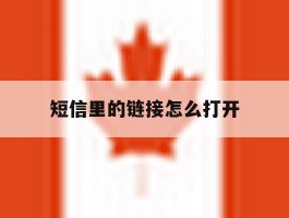 短信里的链接怎么打开