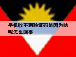 手机收不到验证码是因为啥呢怎么回事