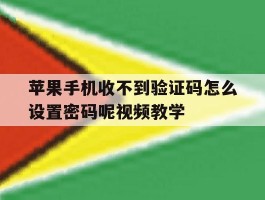 苹果手机收不到验证码怎么设置密码呢视频教学