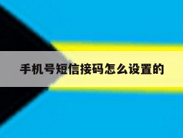 手机号短信接码怎么设置的