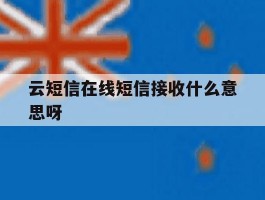 云短信在线短信接收什么意思呀