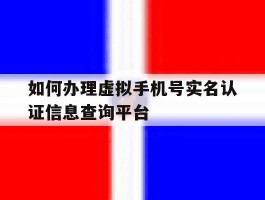 如何办理虚拟手机号实名认证信息查询平台