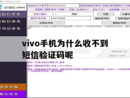 vivo手机为什么收不到短信验证码呢