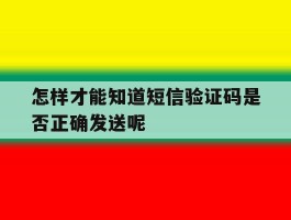 怎样才能知道短信验证码是否正确发送呢
