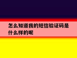 怎么知道我的短信验证码是什么样的呢