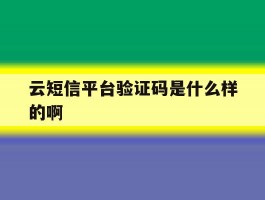 云短信平台验证码是什么样的啊