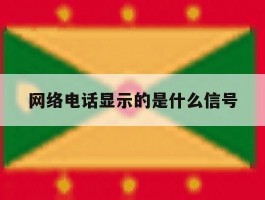 网络电话显示的是什么信号
