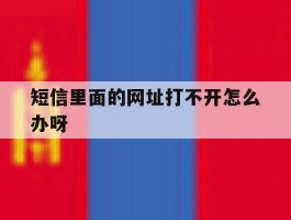 短信里面的网址打不开怎么办呀
