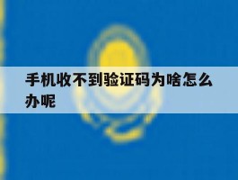 手机收不到验证码为啥怎么办呢
