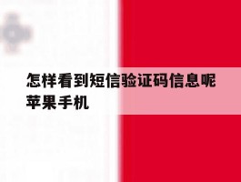 怎样看到短信验证码信息呢苹果手机