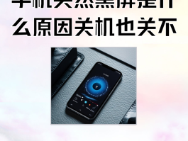 4g网络电话打不出去了怎么回事苹果8x