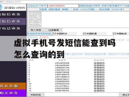 虚拟手机号发短信能查到吗怎么查询的到