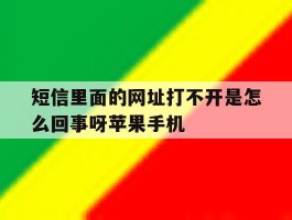 短信里面的网址打不开是怎么回事呀苹果手机