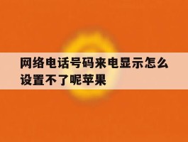 网络电话号码来电显示怎么设置不了呢苹果