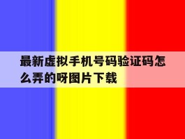 最新虚拟手机号码验证码怎么弄的呀图片下载