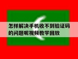 怎样解决手机收不到验证码的问题呢视频教学回放