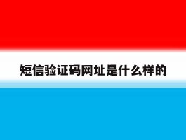 短信验证码网址是什么样的