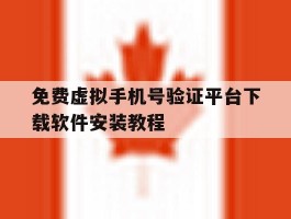 免费虚拟手机号验证平台下载软件安装教程