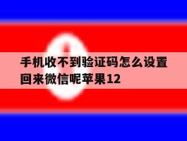 手机收不到验证码怎么设置回来微信呢苹果12