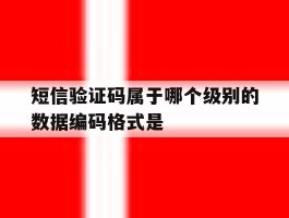 短信验证码属于哪个级别的数据编码格式是