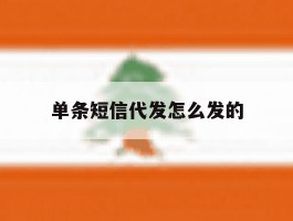 单条短信代发怎么发的