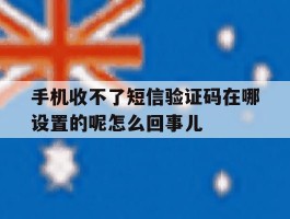 手机收不了短信验证码在哪设置的呢怎么回事儿
