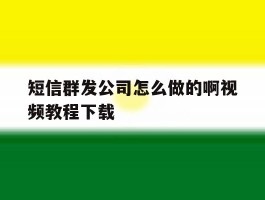短信群发公司怎么做的啊视频教程下载