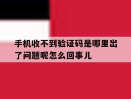 手机收不到验证码是哪里出了问题呢怎么回事儿